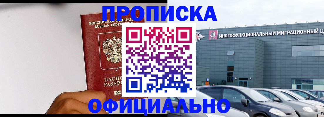 прописка поиск в Пушкино